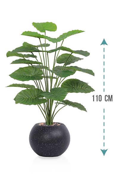Generic Artificial Alocasia Heart Leaf Seedling in Round Plastic Pot