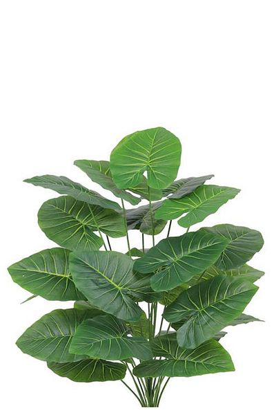 Generic Artificial Heart Leaf Seedling (Alocasia 24 Branches) in a Round Plastic Pot