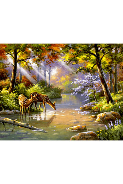 HOBBYLAB Sevimli Geyikler Çerçeveli 40x50 Sayılarla Boyama Hobi Seti
