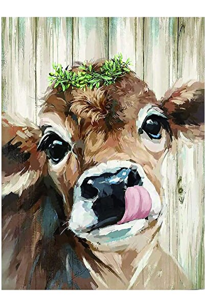 HOBBYLAB Dile Geldim Çerçeveli 40x50 Sayılarla Boyama Hobi Seti