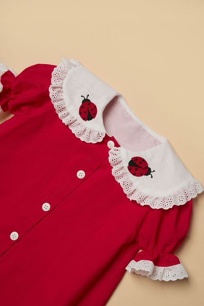 babymoon kids Girl's Red Dress with Ladybug Pattern
