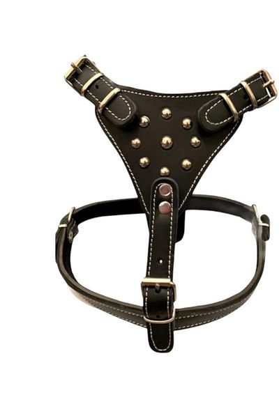 PACOPET Genuine Leather Gladiator Breastplate Dog Collar