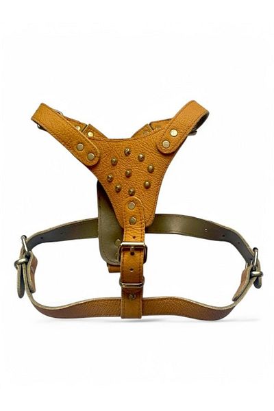 PACOPET Genuine Leather Gladiator Breastplate Dog Collar