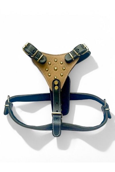 PACOPET Genuine Leather Gladiator Breastplate Dog Collar