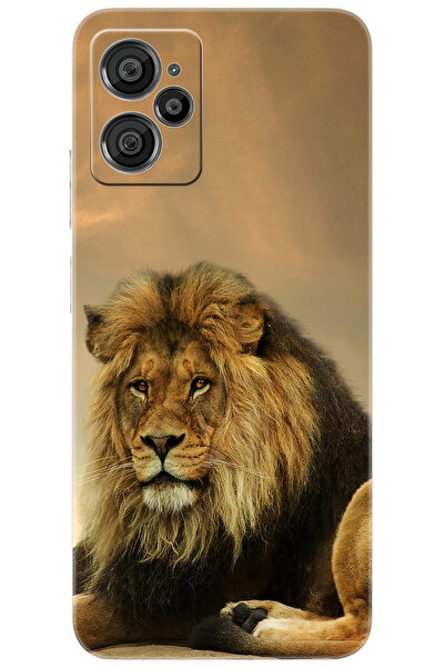 CASPER Via X30 / X30 PLUS Uyumlu Kılıf Desen Baskılı Silikon Kral Aslan STK:207 CP-J04xJkj