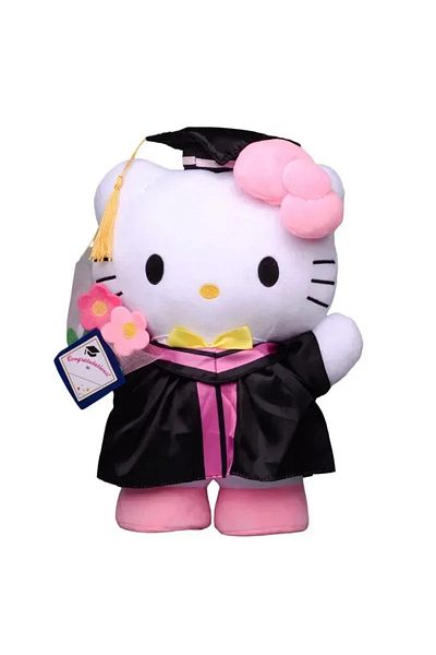 Choice 35cm Hello Kitty 35CM Big Sanrio Cinnamoroll My Melody Kuromi Hello Kitty Graduation Plush Toy Plush