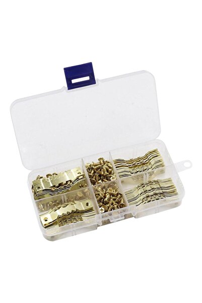 Choice Set of 100 Picture Hooks, Picture Hanging, Picture Frame Hooks