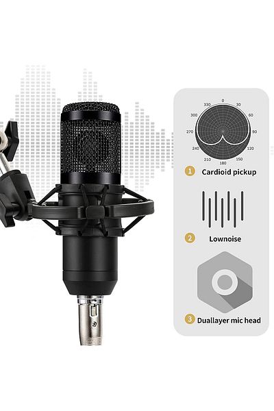 fulina 13-Piece Microphone Kit,MultiFunctional Adjustable Live Sound Card Set,for Recording Broadcasting