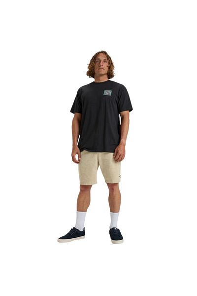 BİLLABONG Billabong Billabong Crayon Wave Men's Black T-Shirt Men's T-Shirt Ebyzt00292