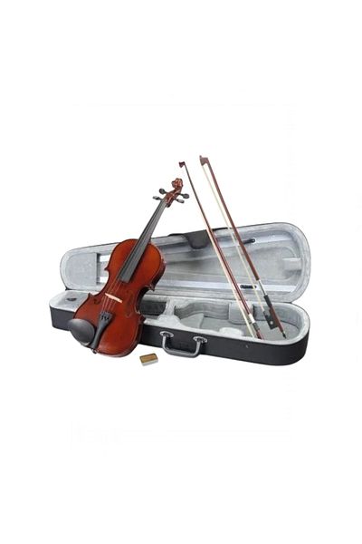 Depox Classical Wooden Violin 4/4, Case Included Extra 1/4 Bow