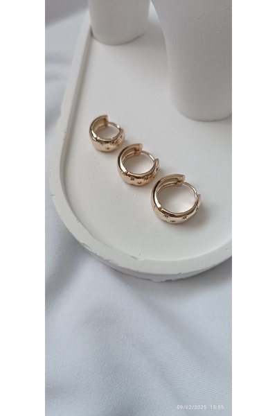 ARİ TAKI Gold 3 Steel Earrings