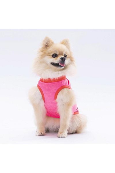 Pawstar Neon Pink Be Kind Cat Dog T-Shirt - Cat Dog Apparel