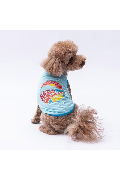 Pawstar Blue the Sun Cat Dog T-Shirt - Cat Dog Apparel