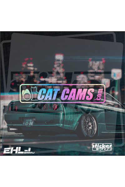 Sticker Works Cat Cams Sticker