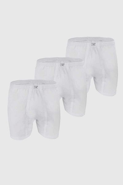 Ceylanoğlu Men's Combed Cotton Underpants 3-Piece 0033