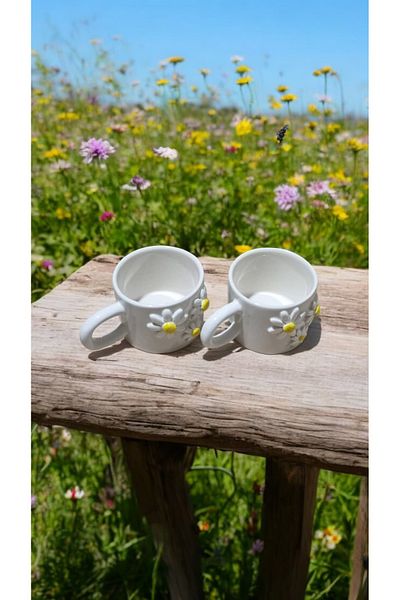 seda seramik Handmade 2 Pieces Embossed Daisy Patterned Mug Bar Cup Mug 200 ml