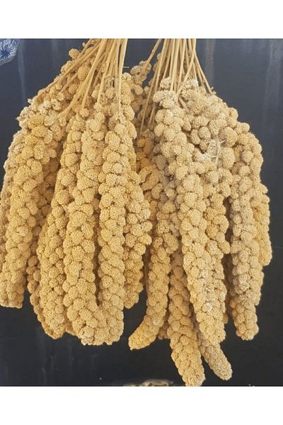 NEZADE STORE فيتاكيك الدخن الأصفر الطبيعي للطيور 100 جرام