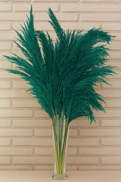 Froyi Zümrüt Yeşili Pampas 10 Adet