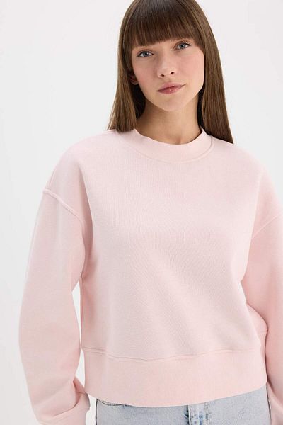 DeFacto Boxy Fit Rundhalsausschnitt Basic Plain Dickes Sweatshirt E4732AX25SP