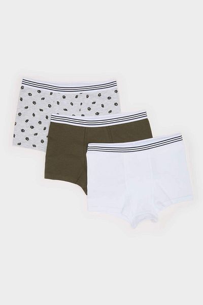 DeFacto Αγόρι με μοτίβο κάκτου 3 τεμαχίων Boxer E6871a825sp