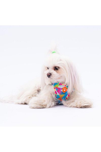 Pawstar Mosaic Air-mesh Chest Collar Cat Dog Chest Collar