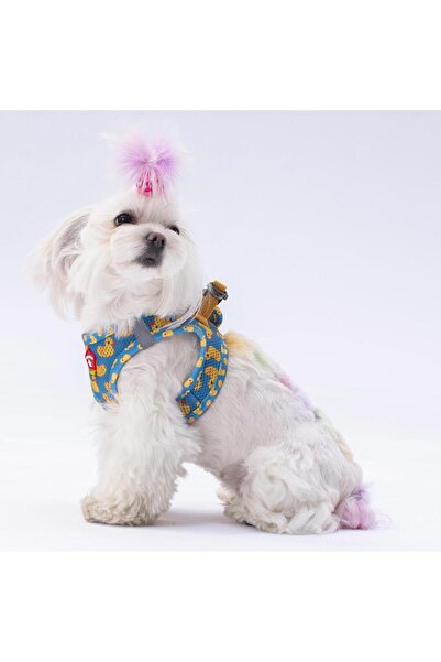 Pawstar Ducks Air-mesh Göğüs Tasması Kedi Köpek Göğüs Tasması