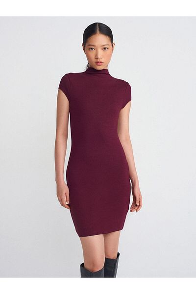 Dilvin Stand Collar Stretch Mini Dress-Light Burgundy