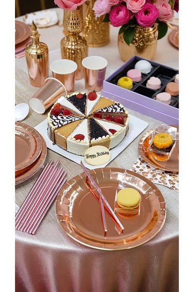 COOYA Disposable Dinnerware, Complete Party Tableware Set for 20 Guests, for Birthday Graduation Wedding