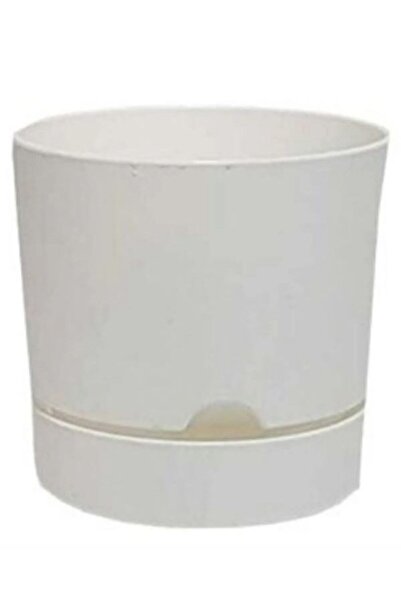 Viyalente Polıwork Saksı Begonya 21 cm Beyaz