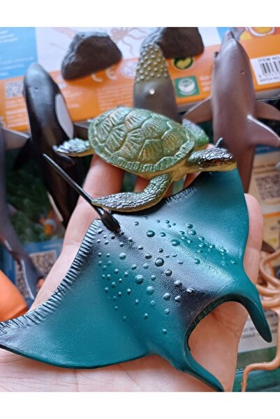 OYUNCAKSAHİLİ Deniz Canlıları 12 Parça Oyuncak Vatoz Kaplumbağa Ahtapot Yunus...