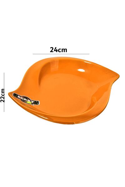 Generic multicolored ceramic plate