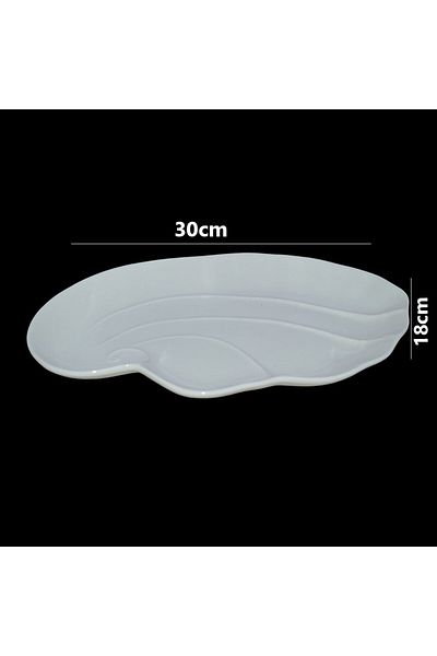 Generic ceramic serving platter