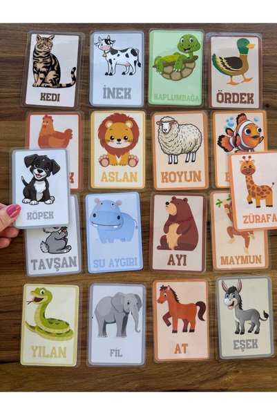 Renkli Zeka English Turkish Educational Cards I Am Learning English Animals (Unbreakable Unbreakable)