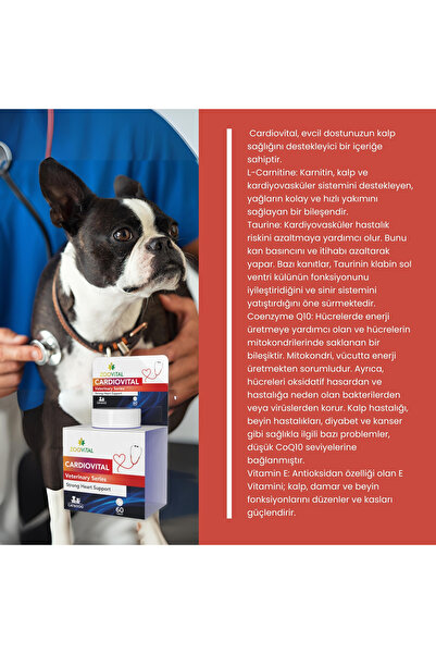 Zoovital Cardiovital Kedi Ve Köpekler Için Kalp Desteği