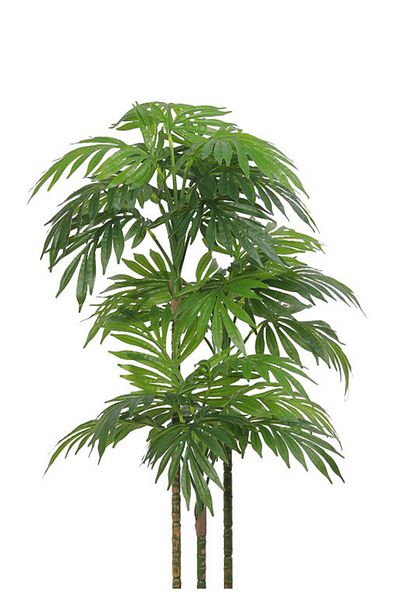 Generic Artificial palm tree 110 cm (3 branches) with a cylindrical plastic stand