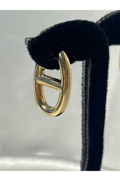 CEY ACCESSORY Vip Model Earring