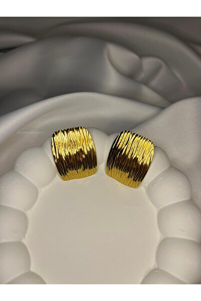 Zebra Model Gold Renk Çelik Küpe