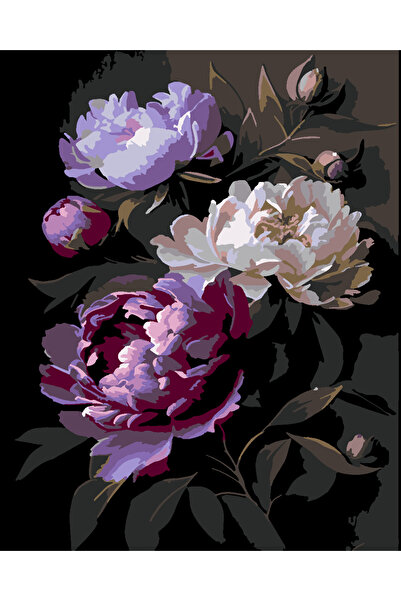 wombhobby DALLARDAKİ GİZEM Sayılarla Boyama Seti 80X100 Cm Çerçeveli (Kasnağa...