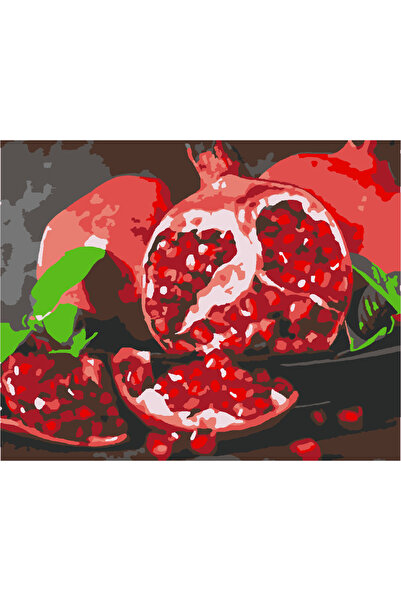 wombhobby BEREKET NARI Sayılarla Boyama Seti 40x50 Çerçevesiz RULO ( Kasnaksız )