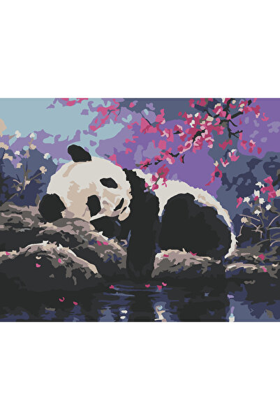 wombhobby UYUŞUK PANDA Sayılarla Boyama Seti 40x50 Çerçeveli (Kasnağa ) Gerili