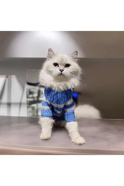 Lady Fify Blue White Striped Sweater for Cat Dog
