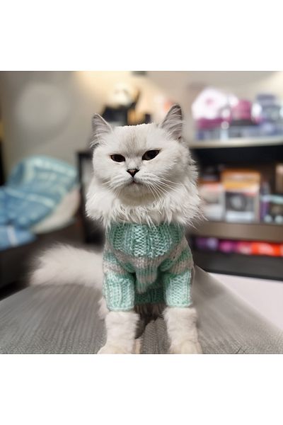 Lady Fify Turquoise White Striped Sweater for Cat Dog