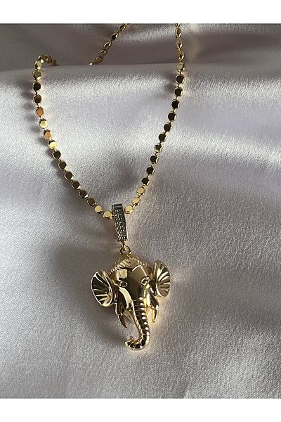 Aka Long Chain Charm Necklace