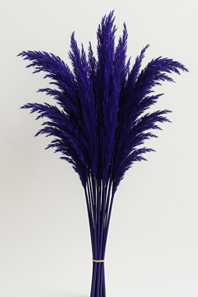 Froyi Mor Pampas 10 Adet