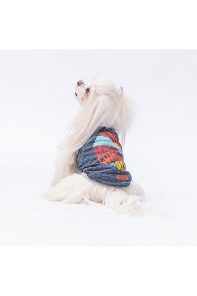 Pawstar Navy Blue the Sun Cat Dog T-Shirt - Cat Dog Apparel