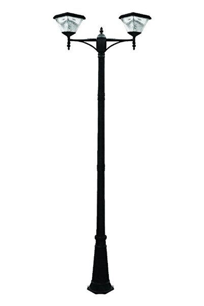 Forlife 2x100w 300cm Alüminyum Aydınlatma Direği