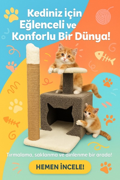 jetlegelsin Çok Fonksiyonlu Kedi Evi