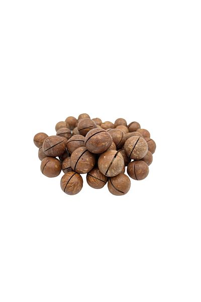 Lava Roastery Unshelled Roasted Macadamia Nuts 1 Kg