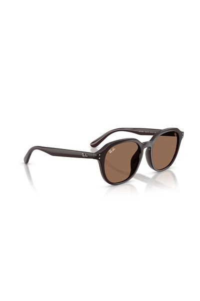 Ray-Ban Ray Ban Unisex Square Sunglasses- Rb 4459d - Lense Size:54mm - Opal Brown