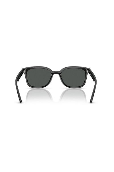 Ray-Ban Sunglasses Rb4461D 64 601/87